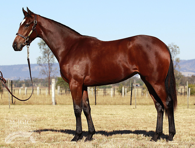 Sebring Style (AUS) - photo 1