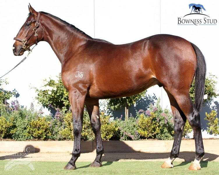 Good Mate Charlie (AUS) - photo 1