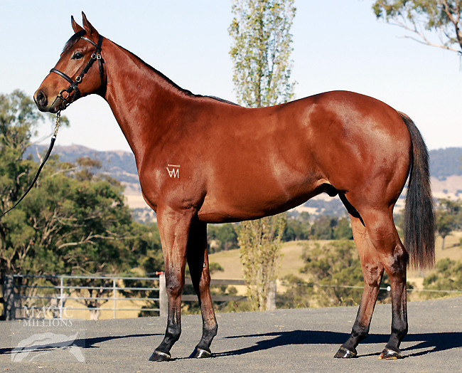 Jimmy Twists (AUS) - photo 1