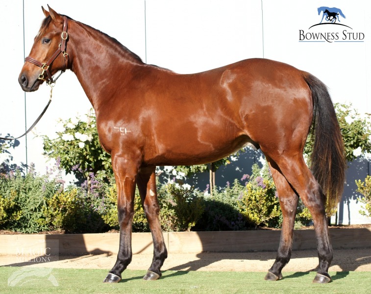 Reset (AUS) / Fuhr Goodness Sake (AUS) - photo 1