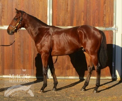 Organisms (AUS) - photo 1