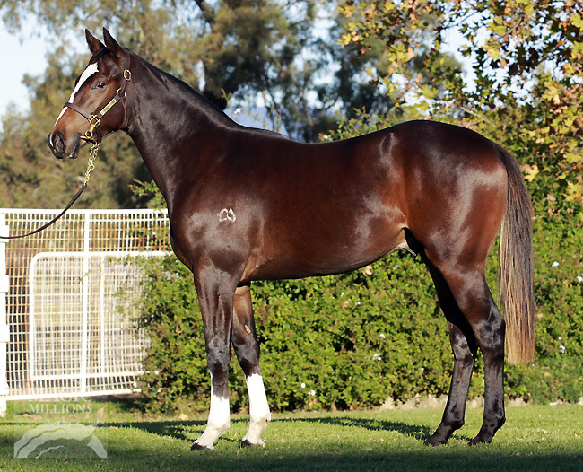 Holy Roman Emperor (IRE) / Harvest Girl (AUS) - photo 1