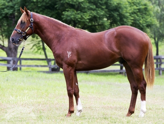 Onadowntowntrain - photo 1