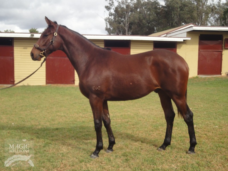 Chief Justice - photo 1