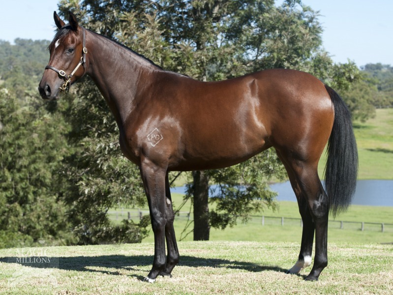 Seonia (AUS) - photo 1