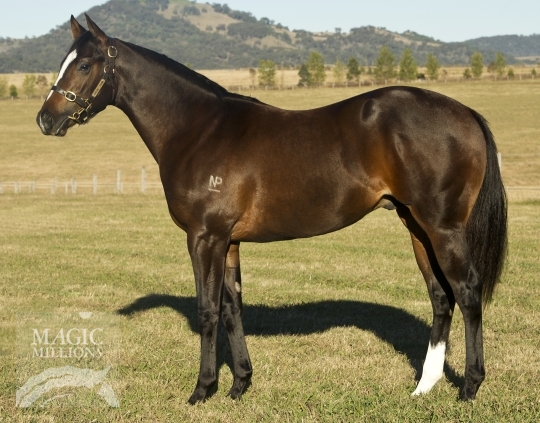 Ready's Image (USA) / Mass Attack (AUS) - photo 1