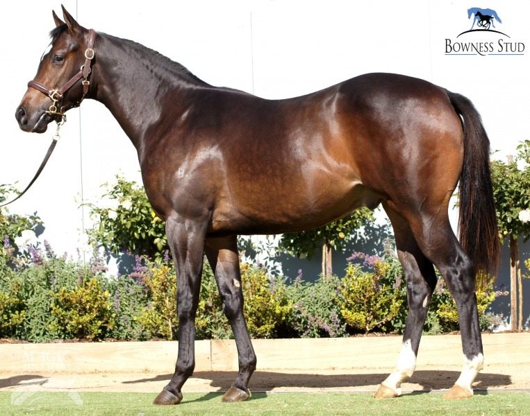 Bazza's Bid - photo 1