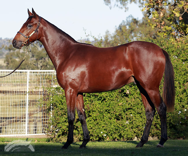 More Than Charlie - photo 1