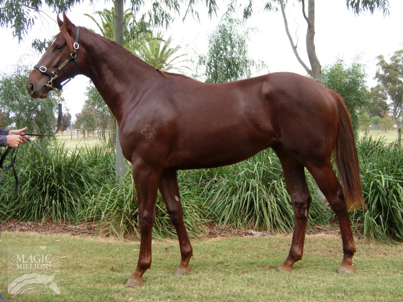 King's Tycoon (AUS) - photo 1