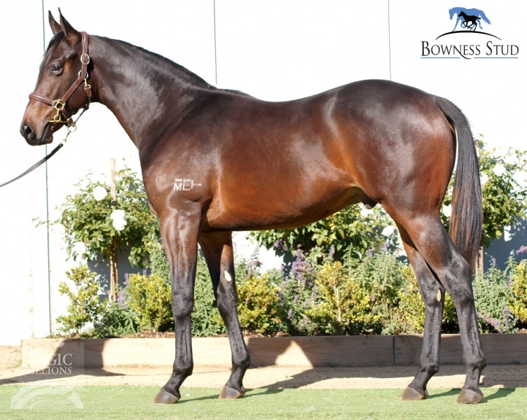 Fastnet Rock (AUS) / Plastic Lady (NZ) - photo 1