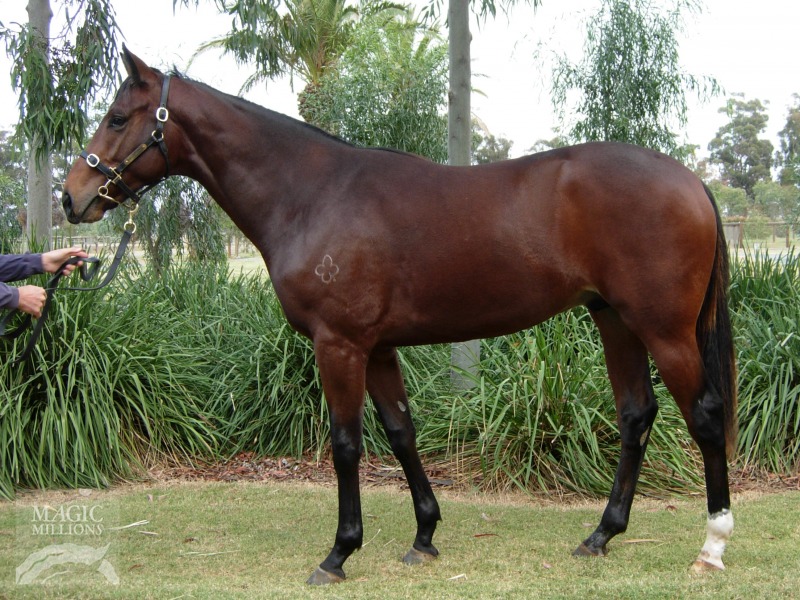 Yugioh (AUS) - photo 1