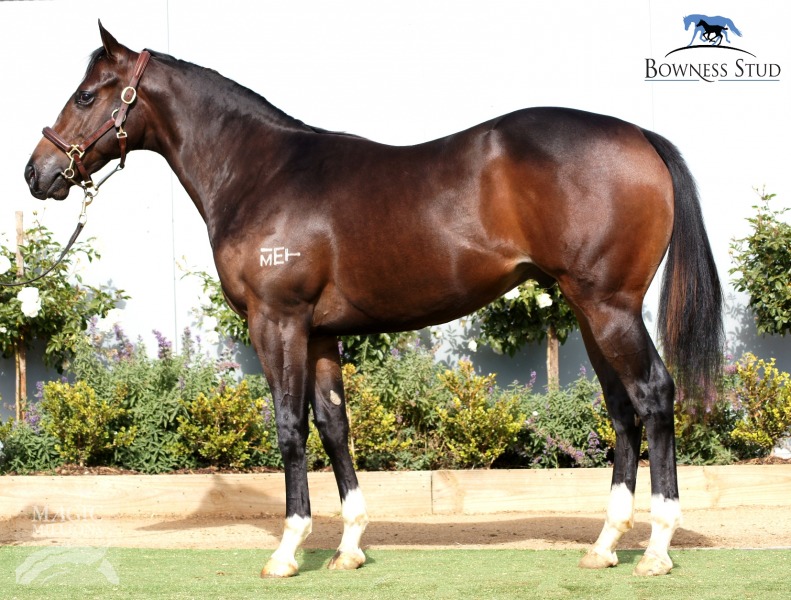 Black Fiery - photo 1