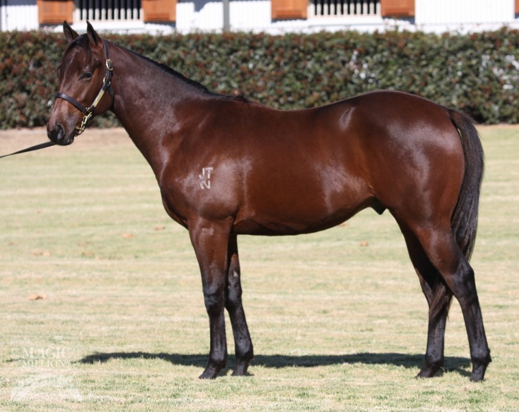 Celtic Express - photo 1