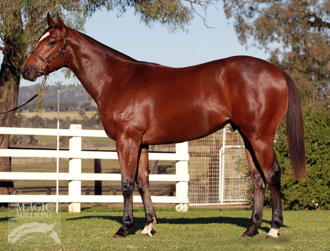 Russian Maestro (AUS) - photo 1