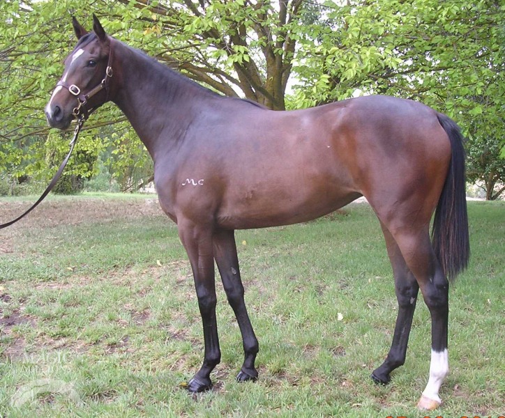 Freedom Road (AUS) - photo 1