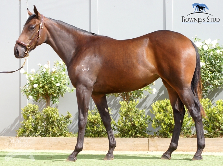 Fletchingly (AUS) - photo 1