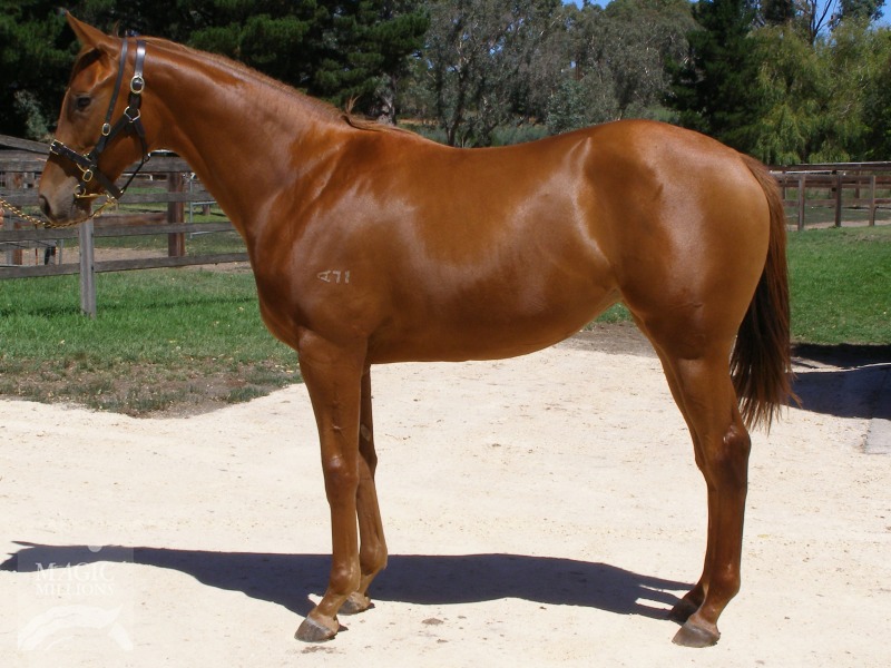 The Red Lady (AUS) - photo 1