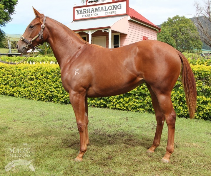 Freezethemillions (AUS) - photo 1