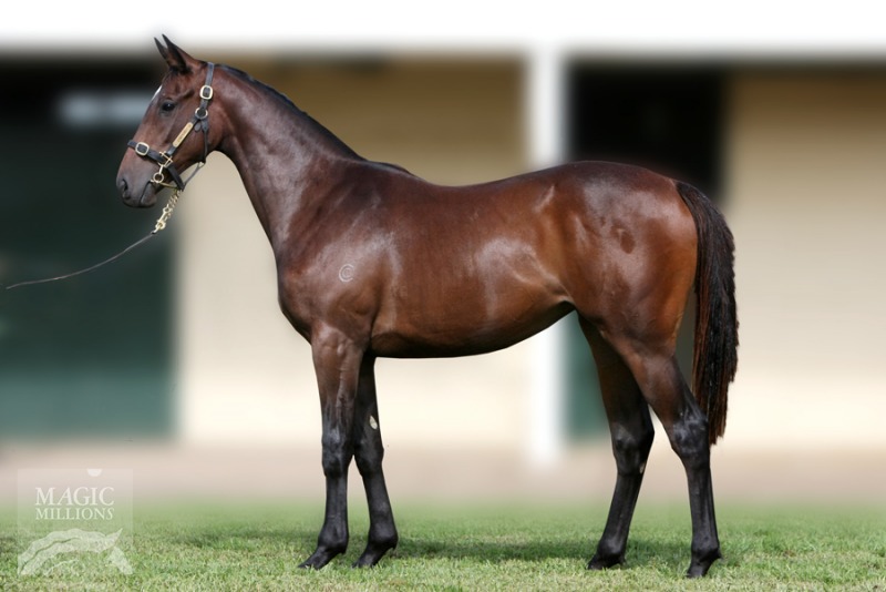 Our Promise Ci (AUS) - photo 1