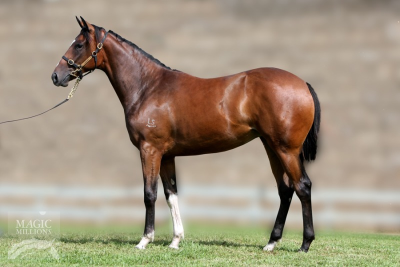 Icy Red (AUS) - photo 1