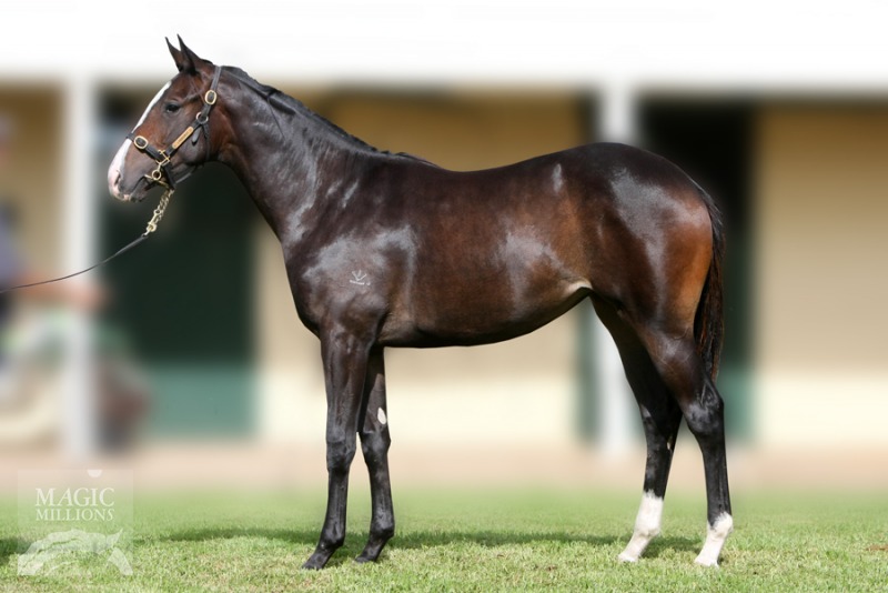 Sequalo (AUS) / Salaama (NZ) - photo 1