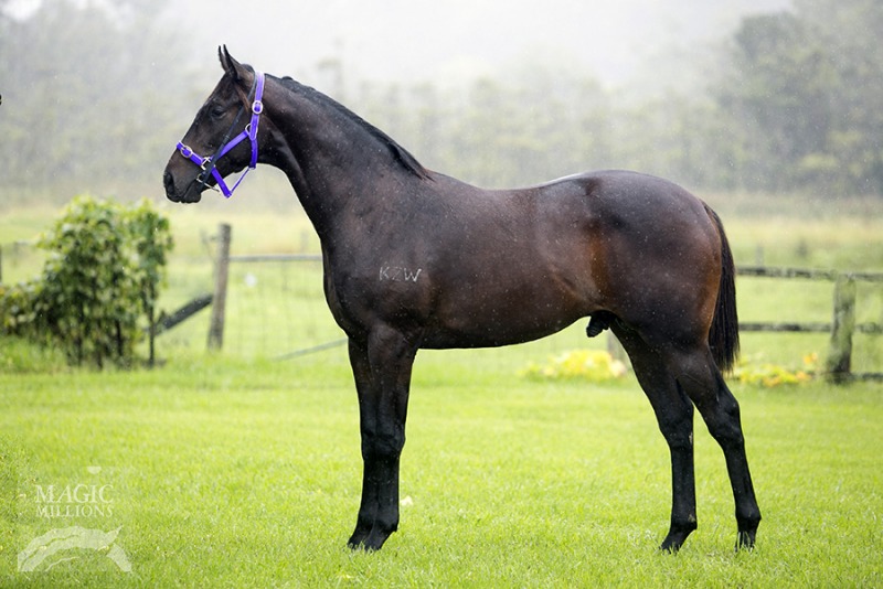 Mance Rayder (AUS) - photo 1