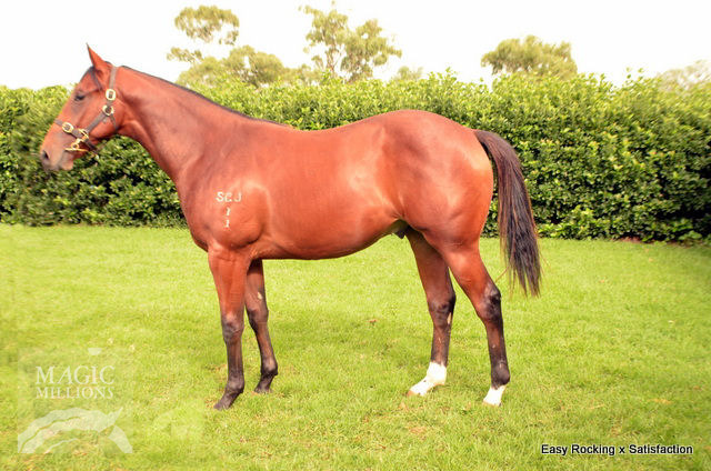 Never Confirmed (AUS) - photo 1