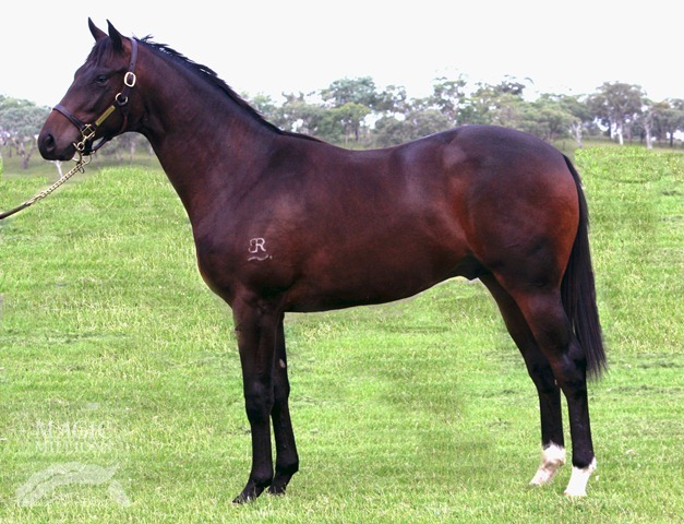 Perzero (AUS) - photo 1