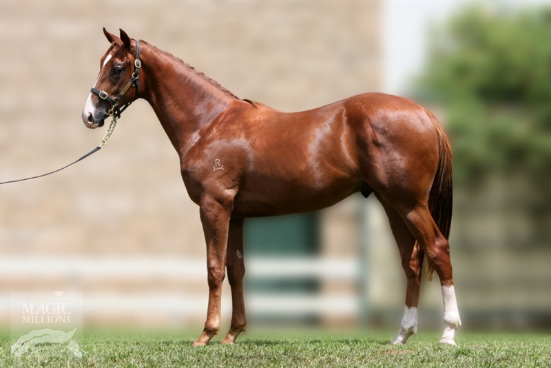 Maytown (AUS) - photo 1