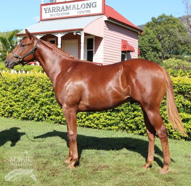 Snowing Sun (AUS) - photo 1