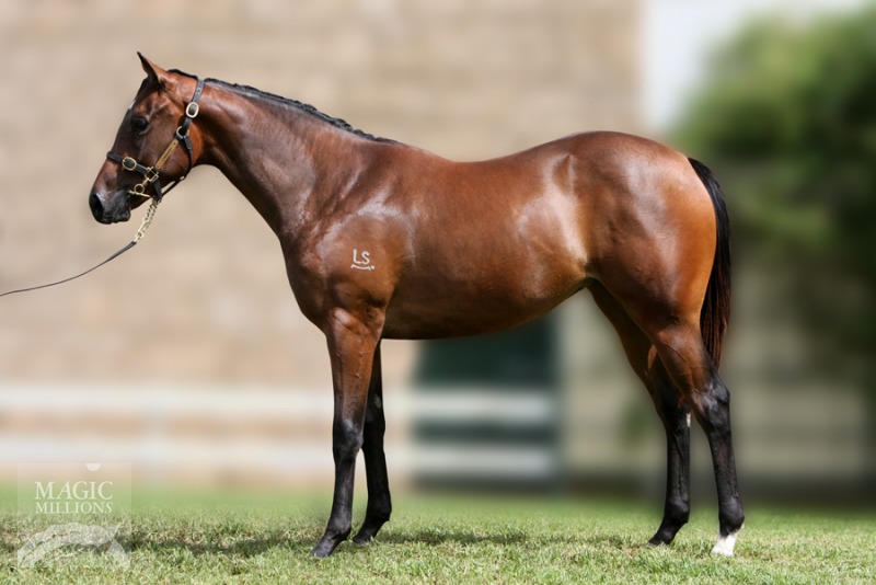 Element Ofsurprise (AUS) - photo 1