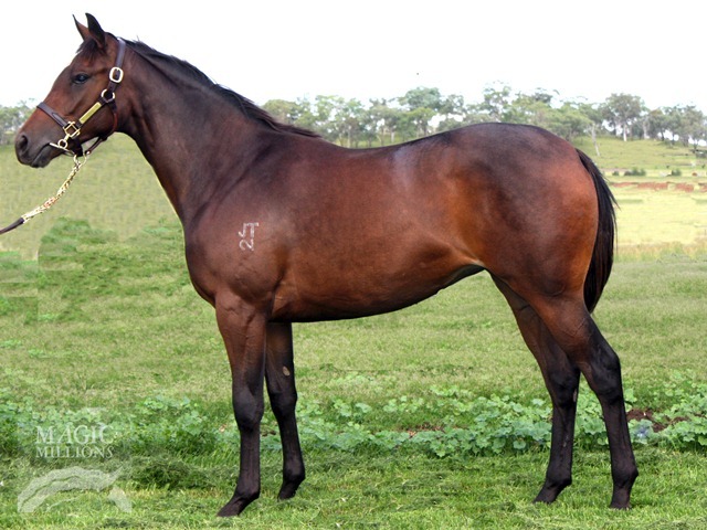 In Her Element (AUS) - photo 1