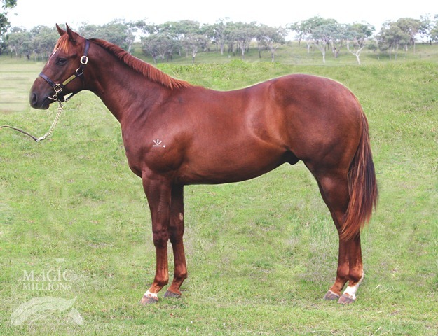 I'm Thinking (AUS) - photo 1