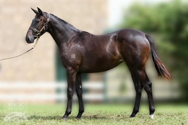 La Mascara (AUS) - photo 1