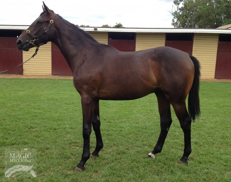 Cashinko (AUS) - photo 1