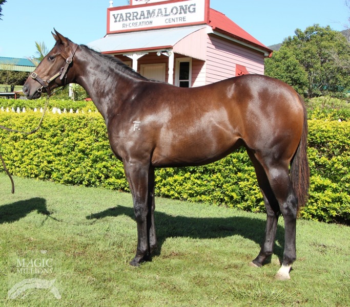 Duchess Molly (AUS) - photo 1