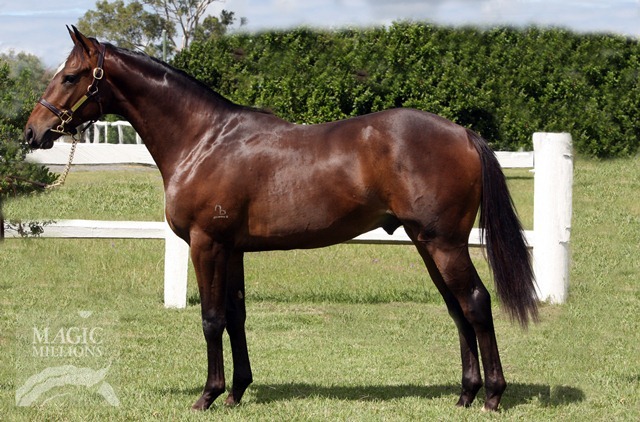 Uncle Bully (AUS) - photo 1