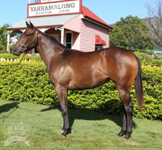 Hit The Books (AUS) - photo 1