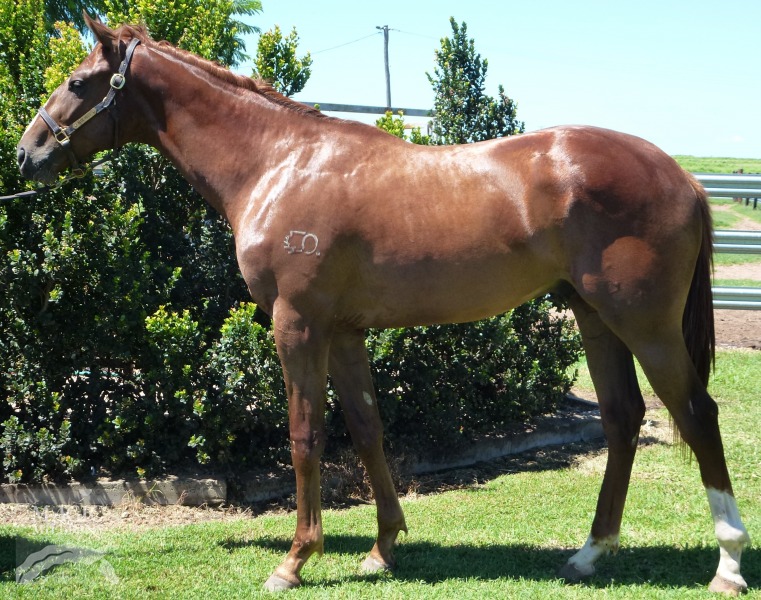 All On Our Own (AUS) - photo 1