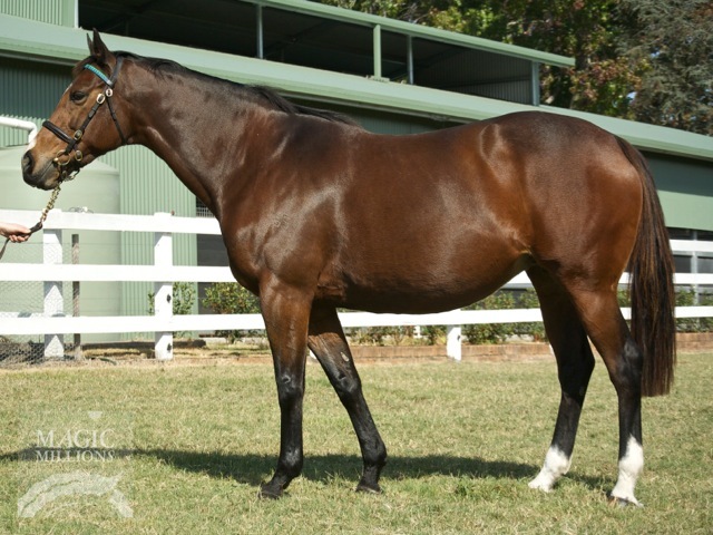 Fashion Week - photo 1