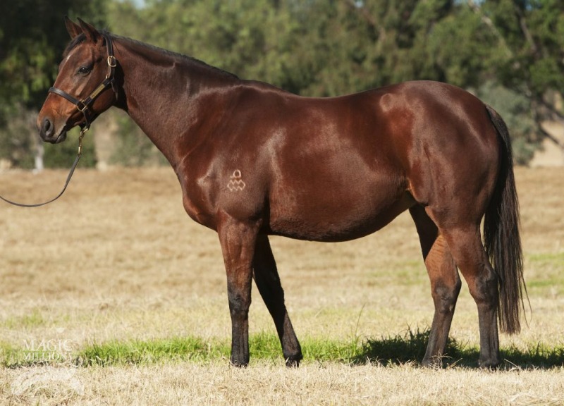 Flying Change - photo 1