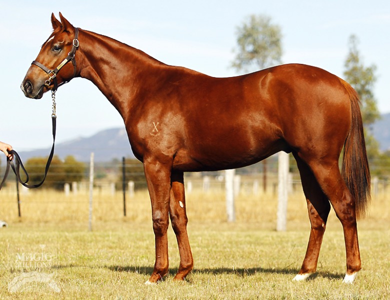 Buckin The Blues (AUS) - photo 1