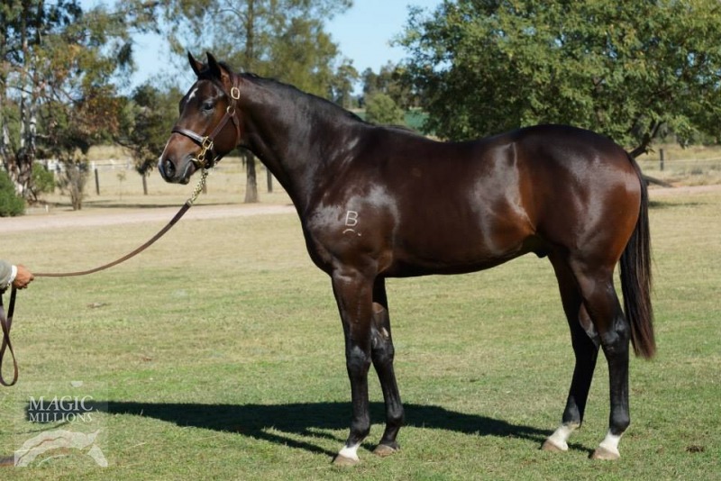 Red Element (AUS) / Don't Tell Angie (AUS) - photo 1