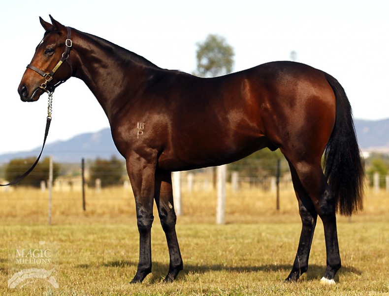 Flying Spur (AUS) / Dora Maar (AUS) - photo 1