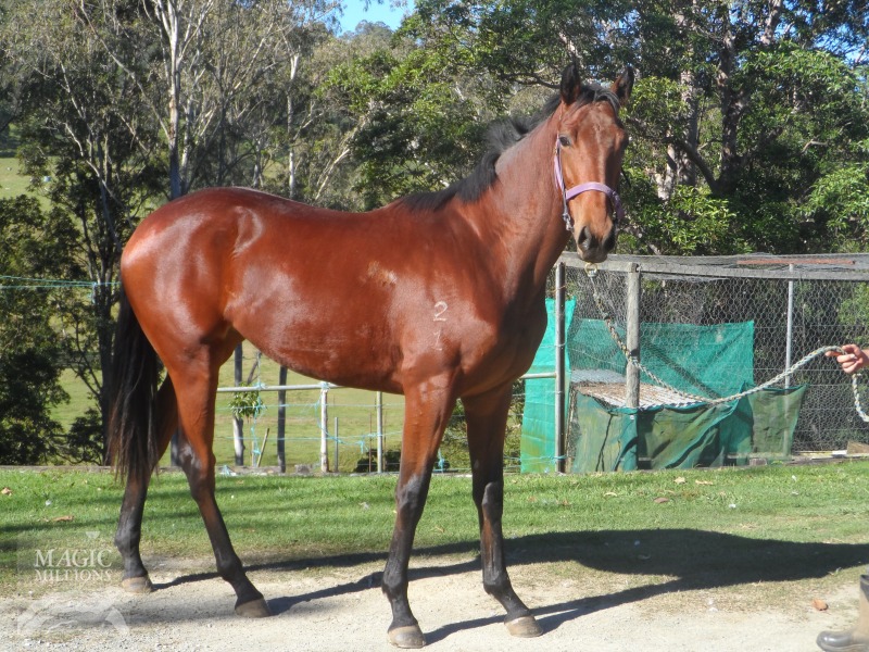 Dane Hussler (AUS) - photo 1