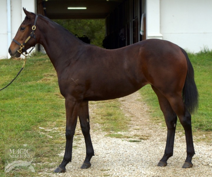 Lady Denman (AUS) - photo 1