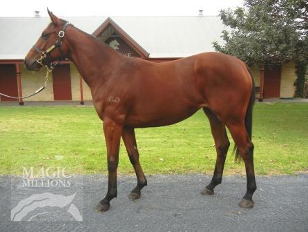 Fast Return (AUS) - photo 1