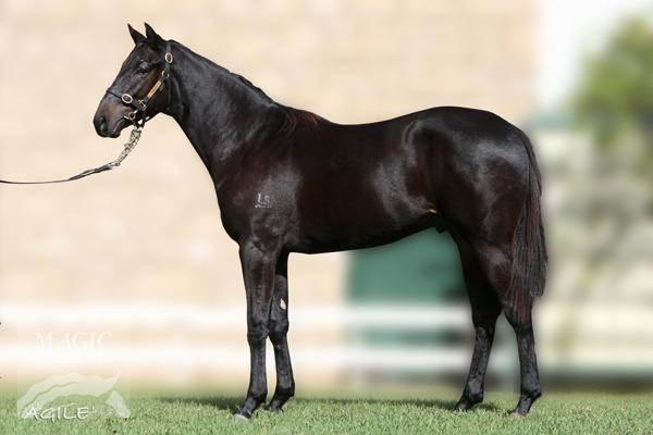 Atom (AUS) - photo 1