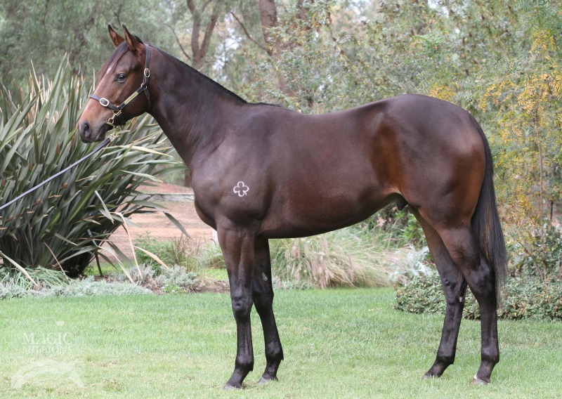 Come At Me (AUS) - photo 1