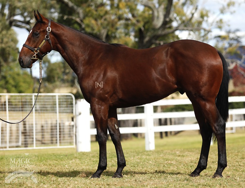 Sunfast (AUS) - photo 1